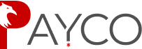 Payco Yatırım